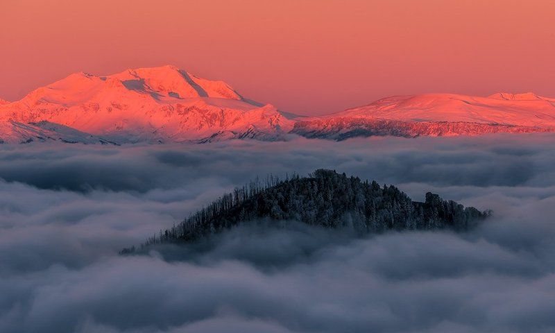 кавказ, утро, осень, 2013, октябрь, хребет, корыта, оштен, лес , горелый , рассвет ВЕСЬ СТОИТ БЕЗ  ЗЕЛЕНИ, АБСОЛЮТНО ВЕСЬ, ОСТРОВ  НЕВЕЗЕНИЯ В ОКЕАНЕ  ЕСТЬ.photo preview