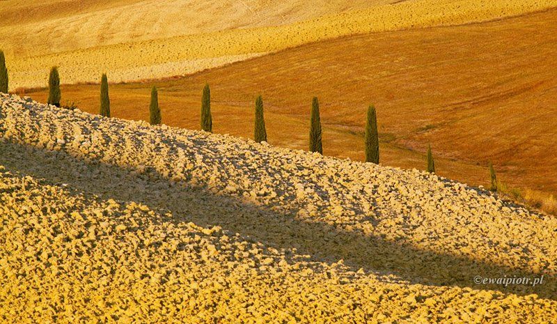 Tuscan autumn IIIphoto preview