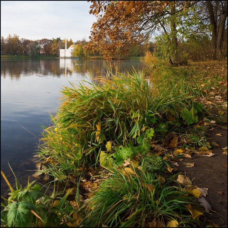 Осенние квадраты.photo preview