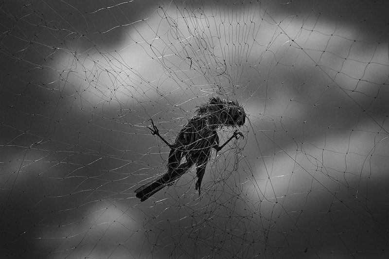 Sometimes we catch something what we really do not needphoto preview