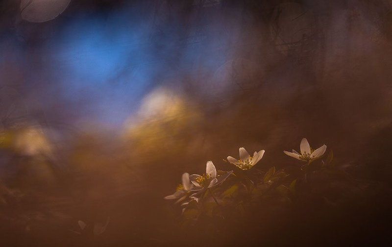 Весенний Валдайphoto preview