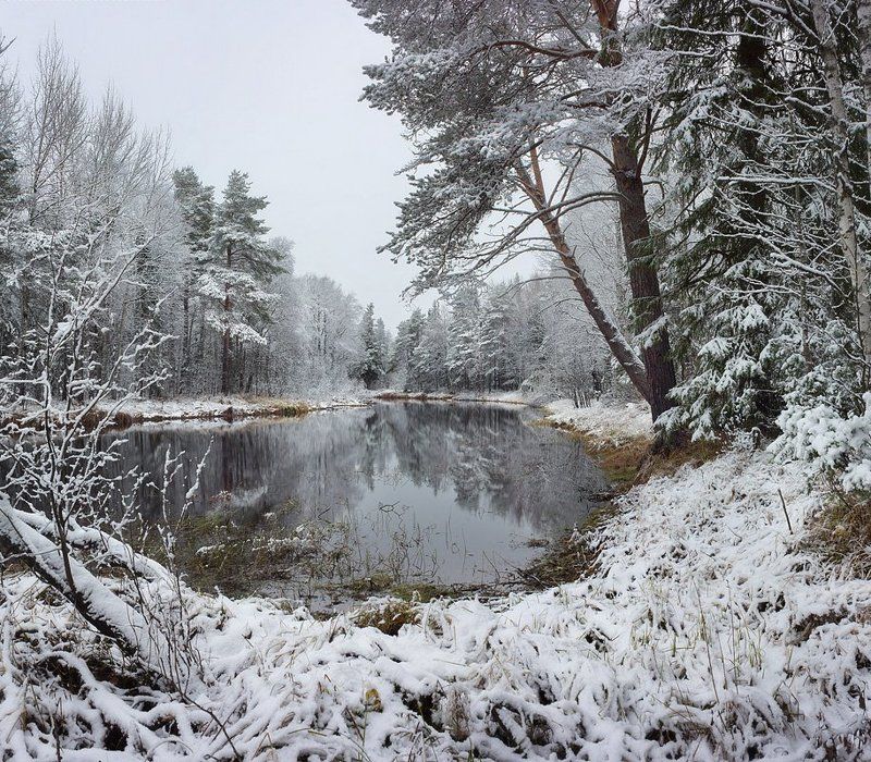 Октябрьphoto preview