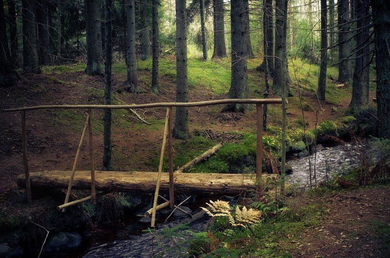 Сказка  о лесном ручьеphoto preview