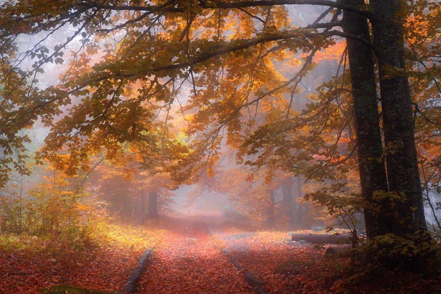 bulgaria, Svetoslav Georgiev