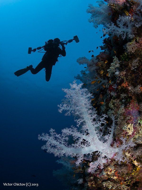 Проплывал мимо, понравилось...photo preview