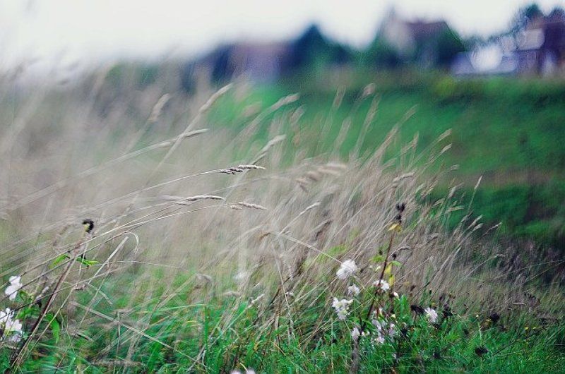 Из полей уносится печальphoto preview