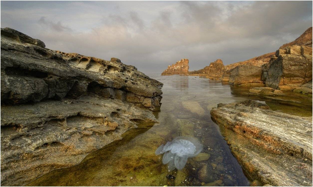 , Румен Паисиев