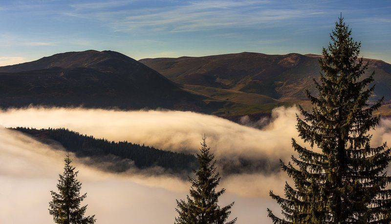 Fog, Landscape, Nature, Sunrise Little brothersphoto preview
