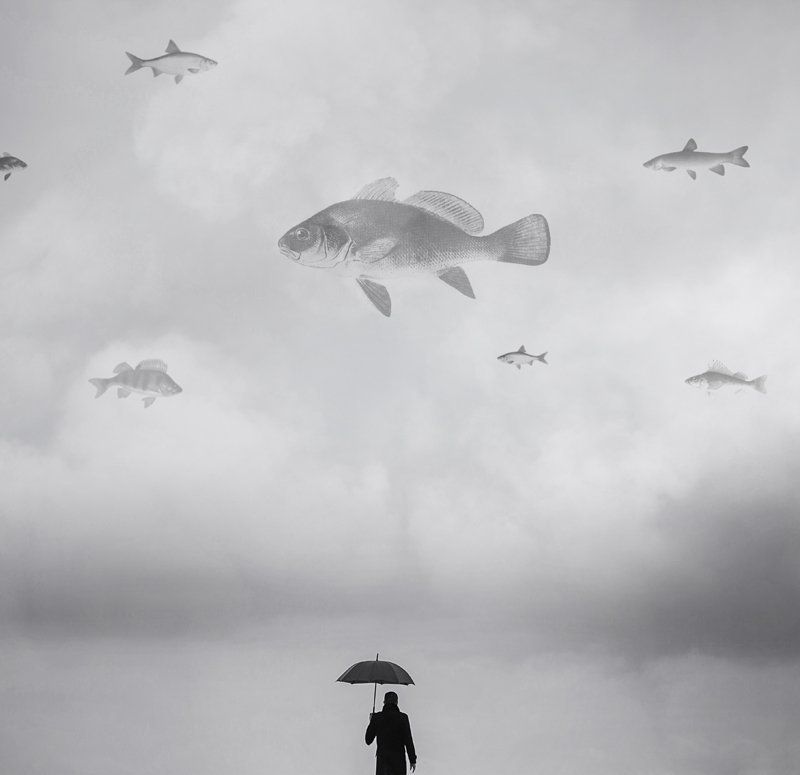 Арт, Зонт, Коллаж, Мужчина, Небо, Рыба, Черное-белая фотография Hello, Dali!photo preview