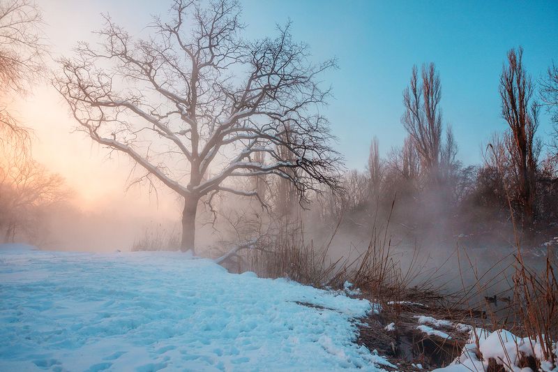 зима утро рассвет photo preview