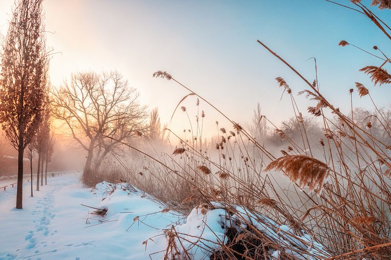 зима утро рассвет морозное утроphoto preview