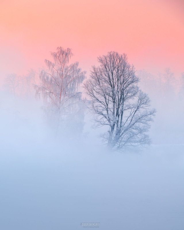 истра, река, туман, иней, рассвет, деревья Двоеphoto preview