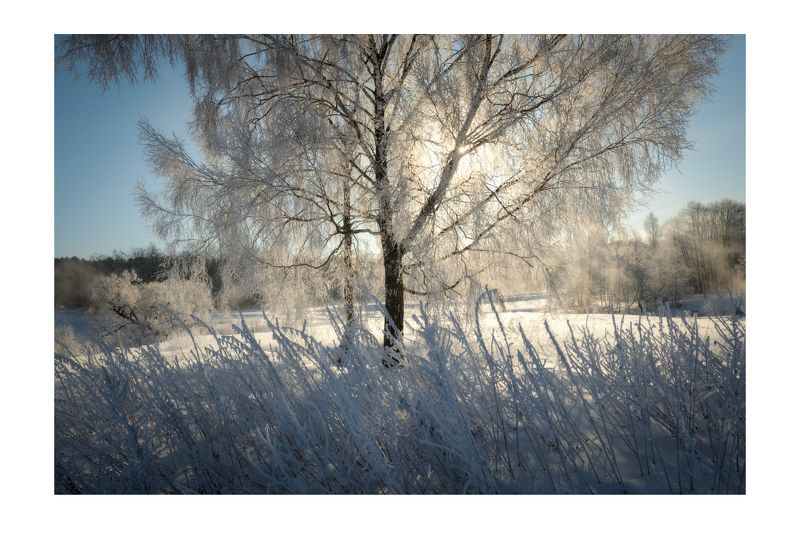 мороз зима солнце свет лучи иней снег Последние Мартовские морозыphoto preview