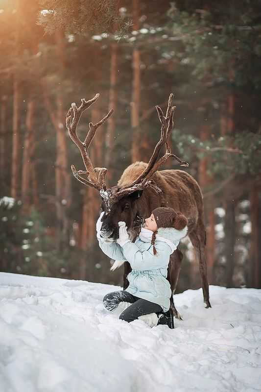 зима, снег, олень, животное, рога, девочка, милая, красивый, портрет, солнце, день, солнечный ***photo preview