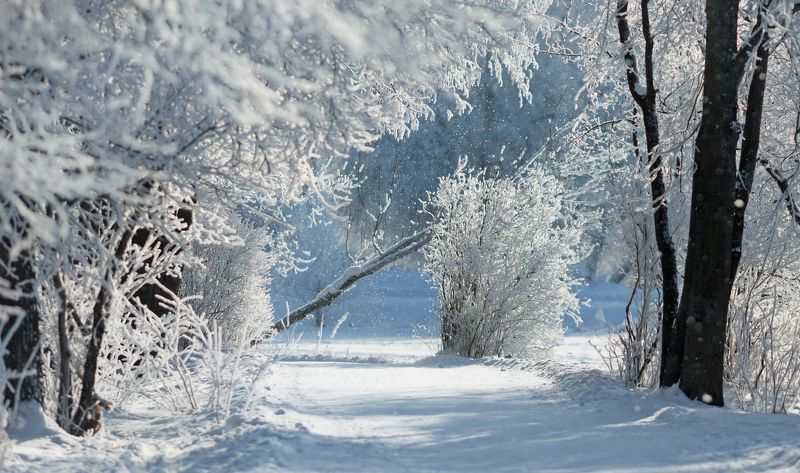 пушкин, царскоесело, царское, спб ...photo preview