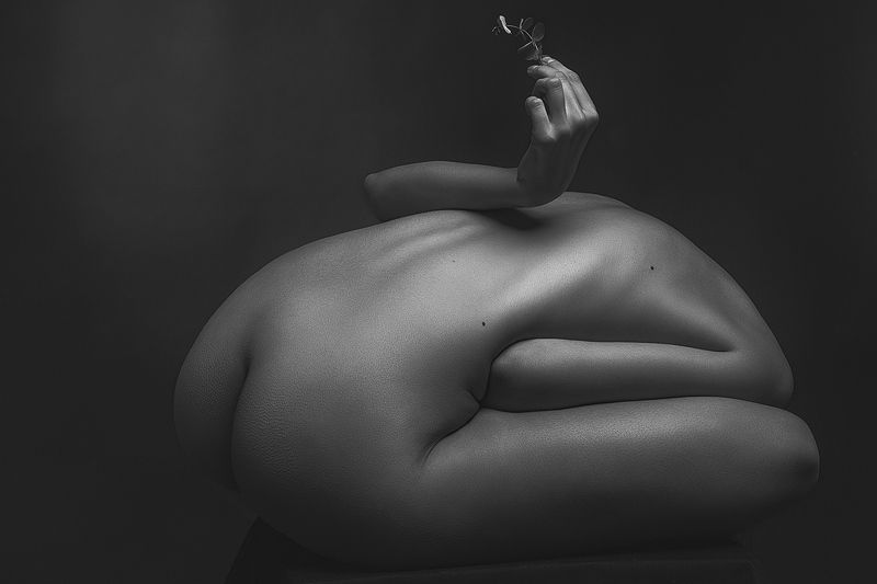 Паростокphoto preview