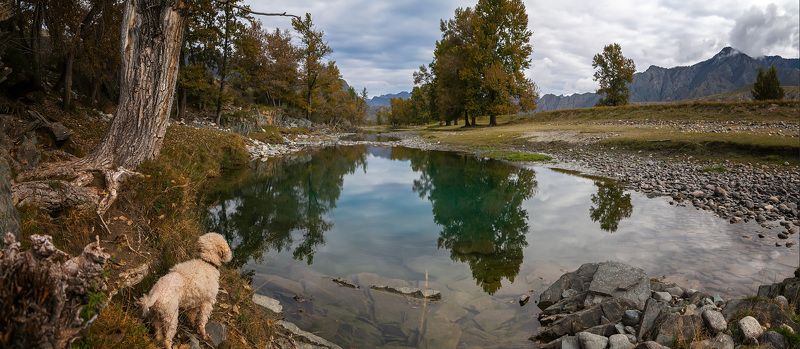 Бирюзовые лагуныphoto preview