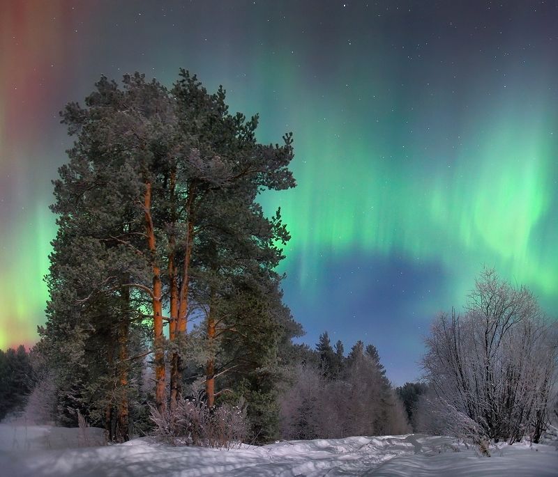 Март... фото превью