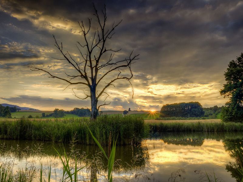 Вечер на озере.photo preview