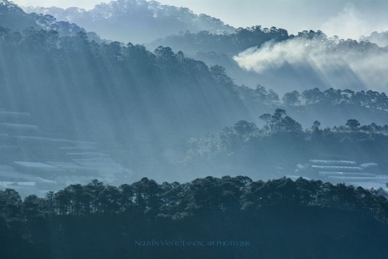 Fog Da Lat 2019photo preview