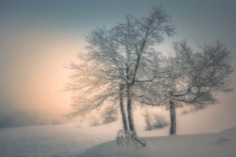 #landscape#nature#winter#fog#snow#sunrise#dream Moment in timephoto preview