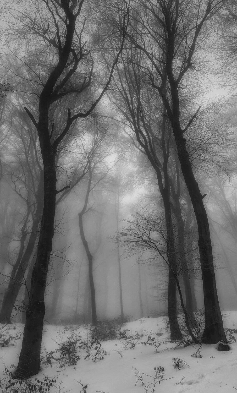 , Костадин Маджаров