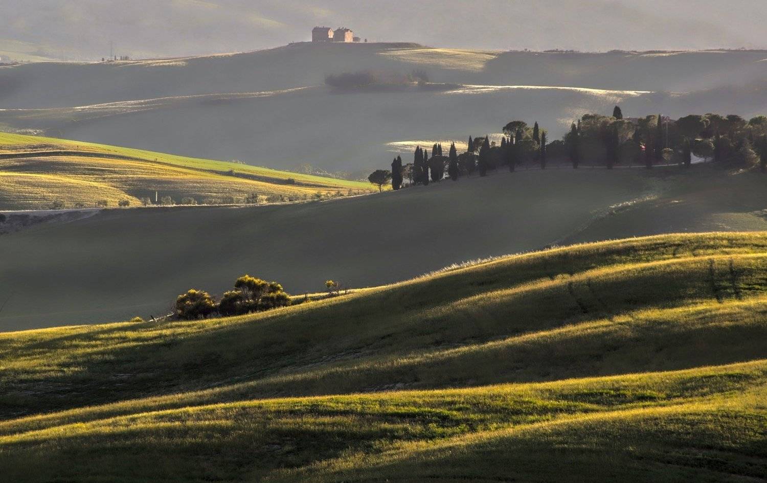 Автор: Jacek , Jacek