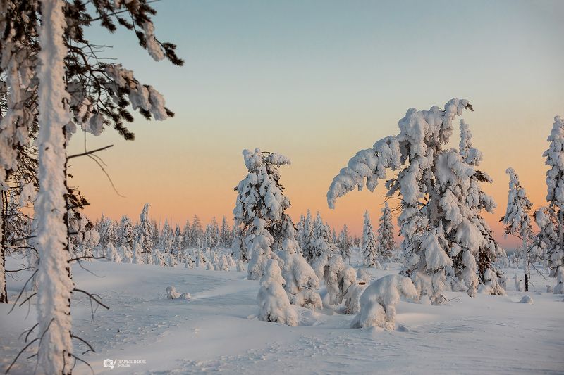 якутия, зима, снег, сибирь, дальний восток, мороз, холод photo preview
