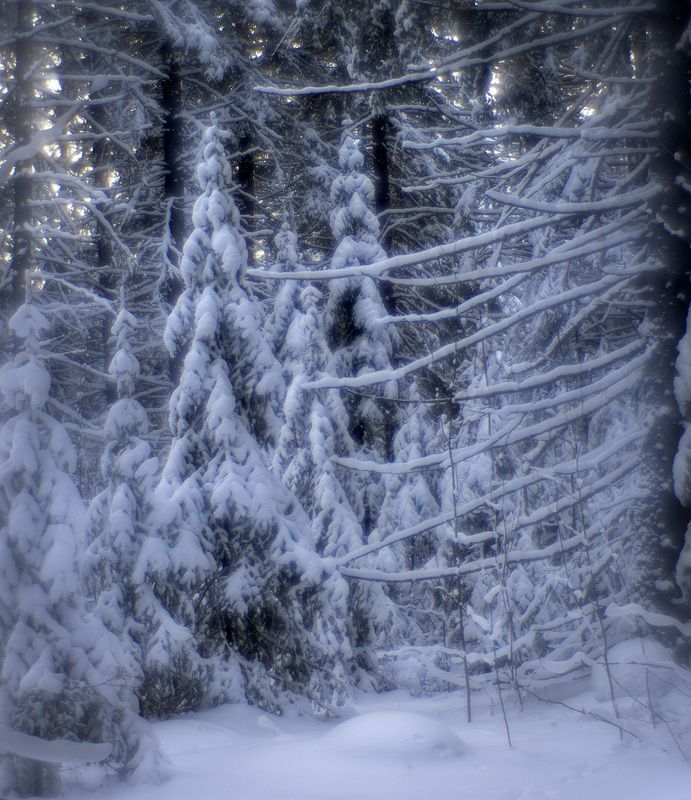 Прогулка с моноклемphoto preview