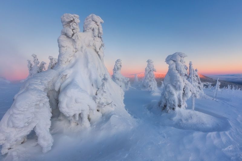 landscape, tree, sunrise, panorama Winter crab and other ghostsphoto preview