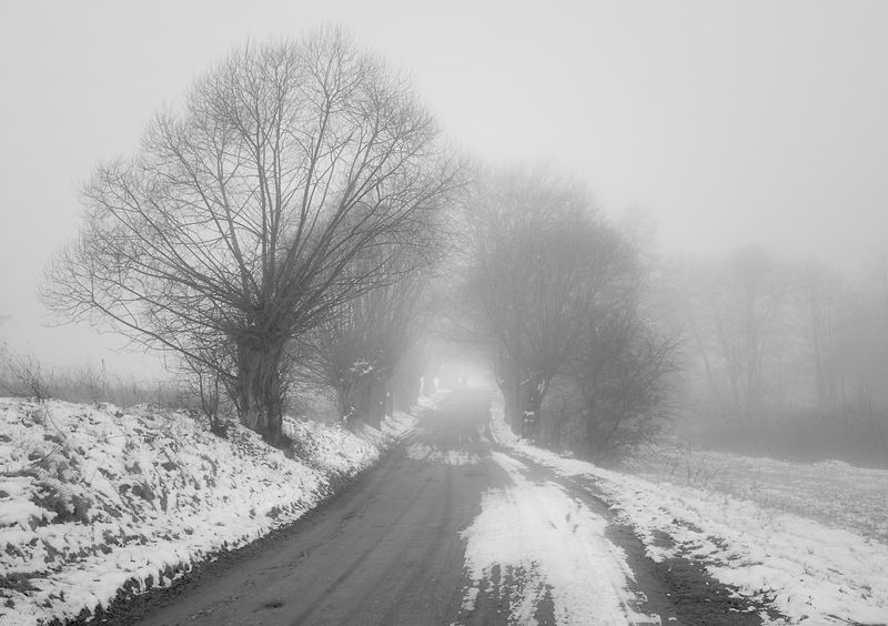 road among fields...photo preview