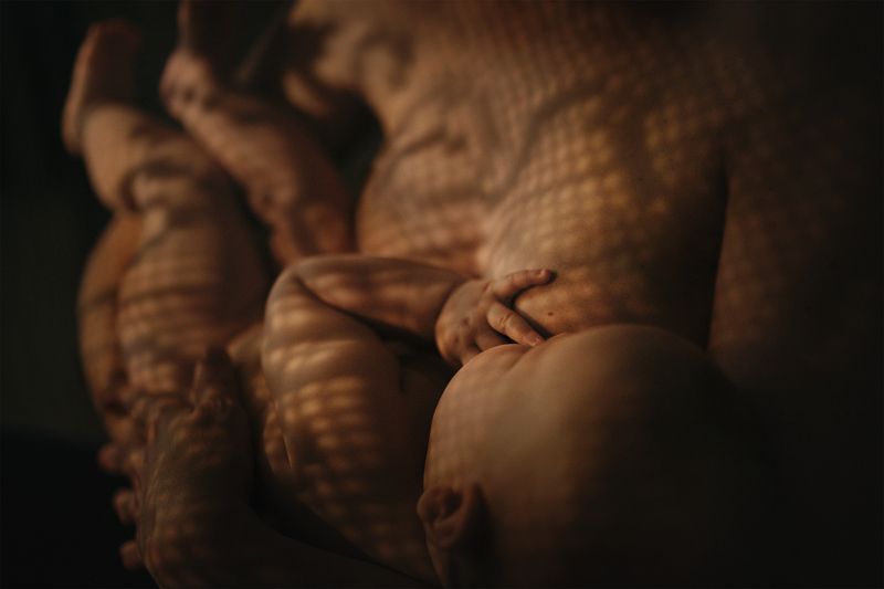 Motherhoodphoto preview