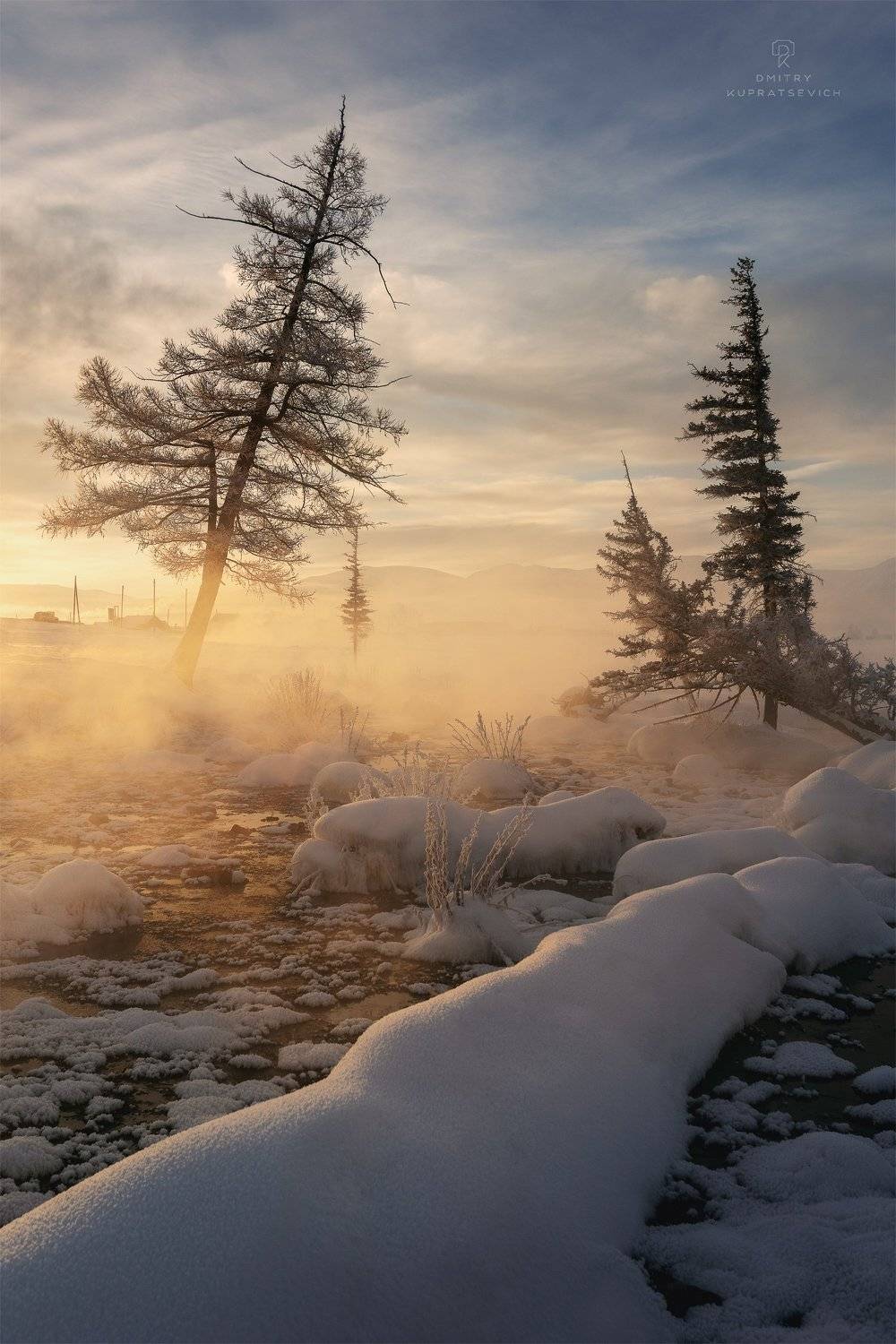 , Дмитрий Купрацевич