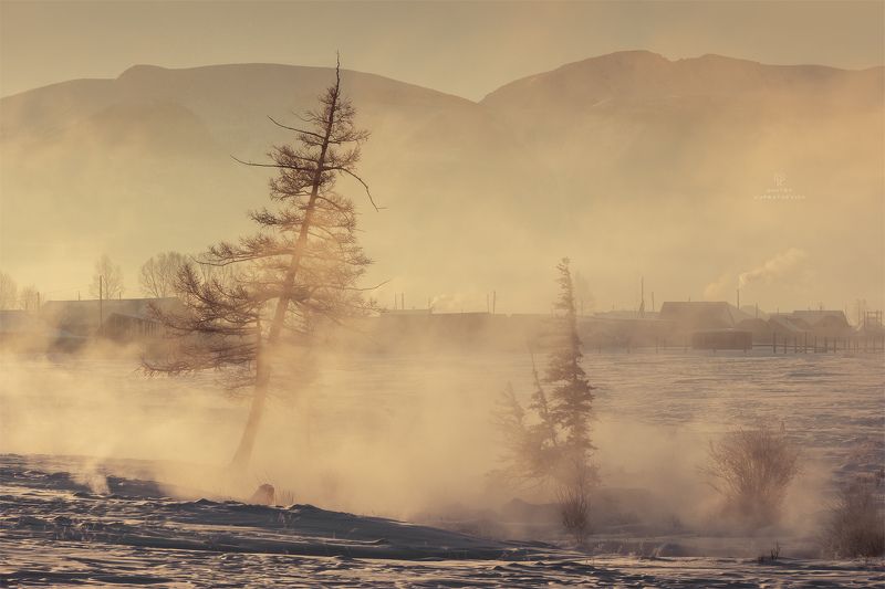 В зимнем туманеphoto preview