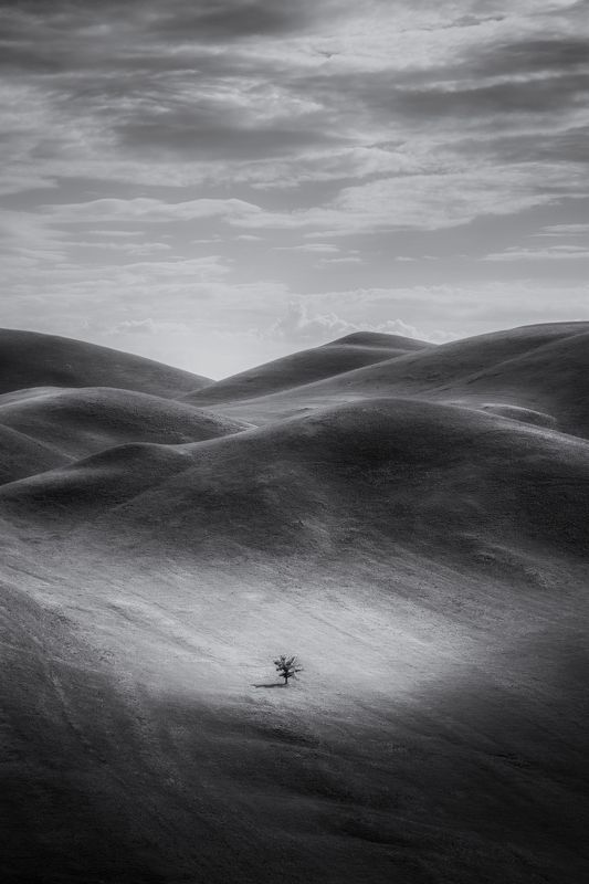 Одинphoto preview