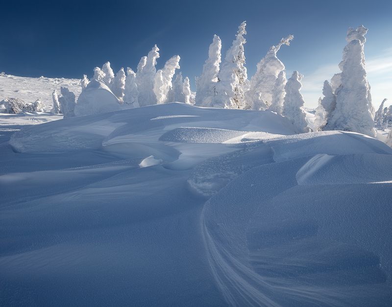 гух ***photo preview