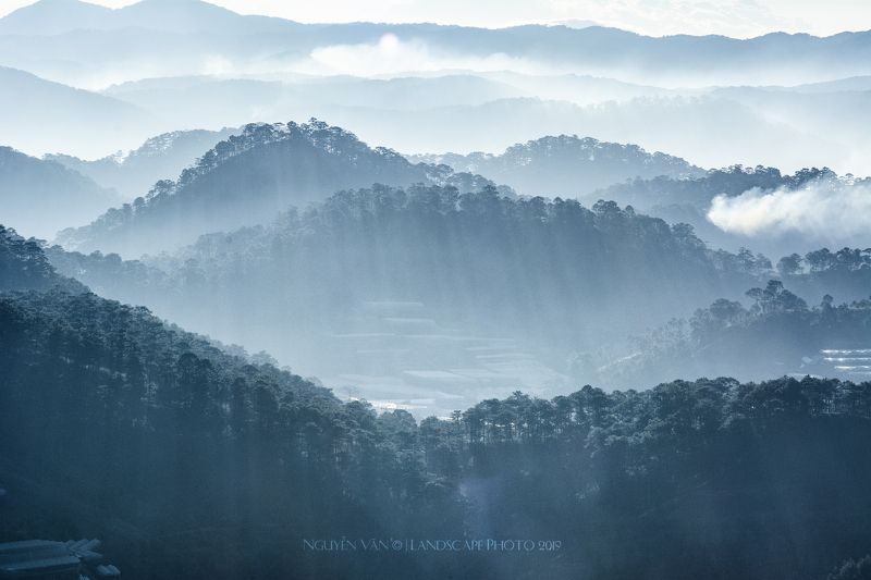 Fog Da Lat 2019photo preview