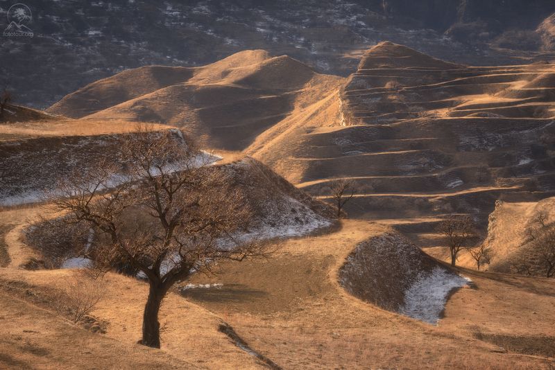 дагестан, террасы Ожидание весныphoto preview