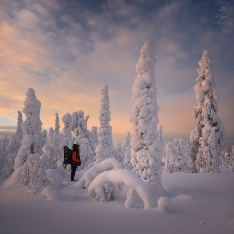 паанаярви, зима Прогулки по зиме фото превью