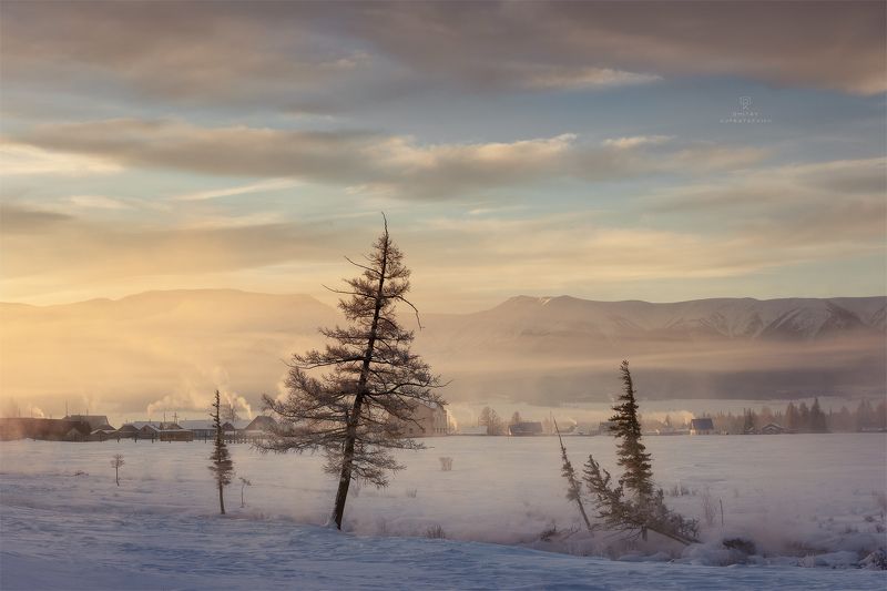 Зимние силуэтыphoto preview