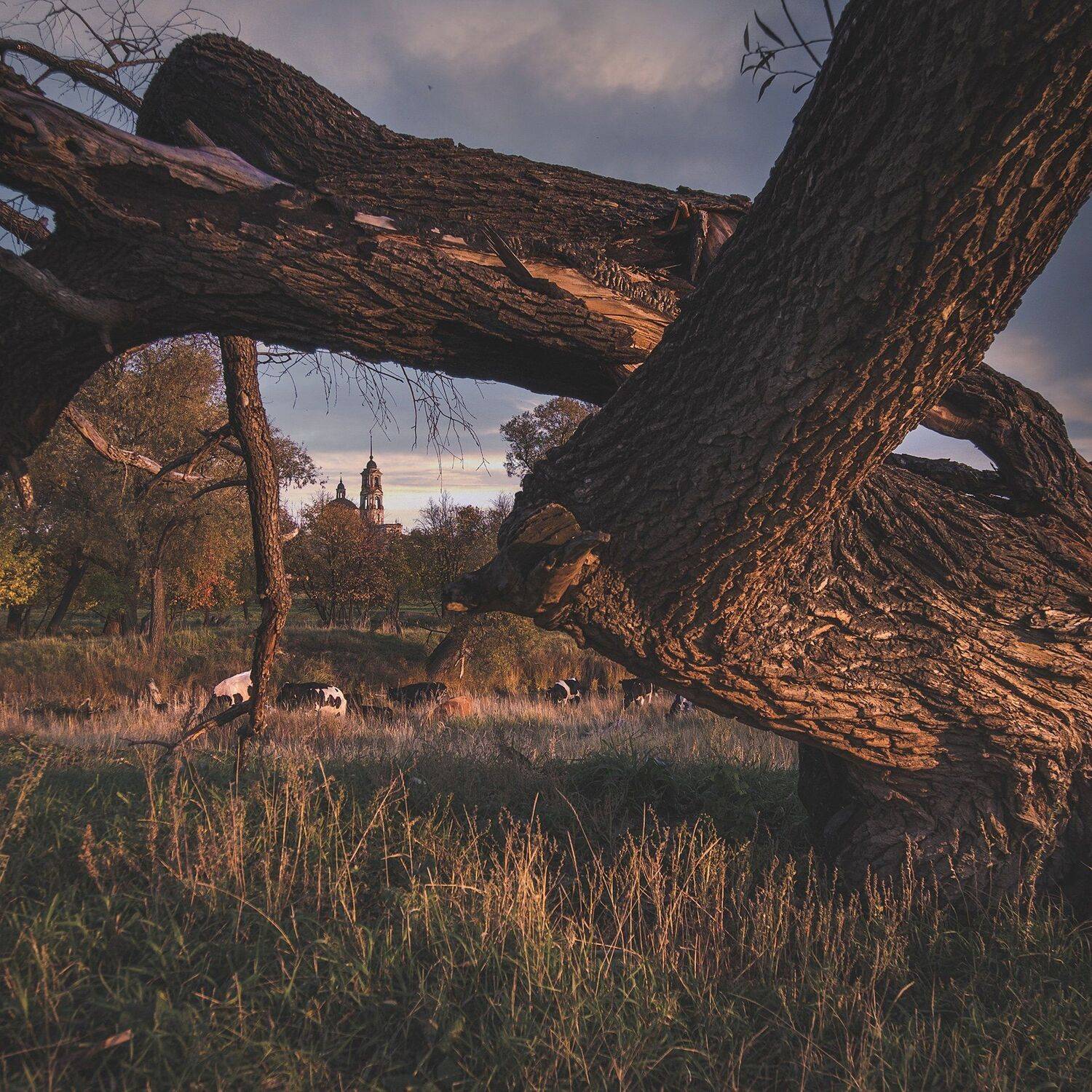 Закат. Автор: Денис Храмеев , Денис Храмеев