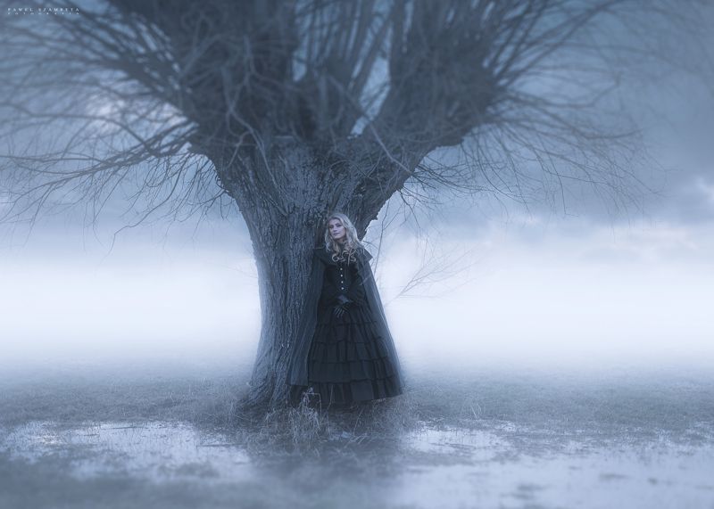 Szepty wierzbphoto preview