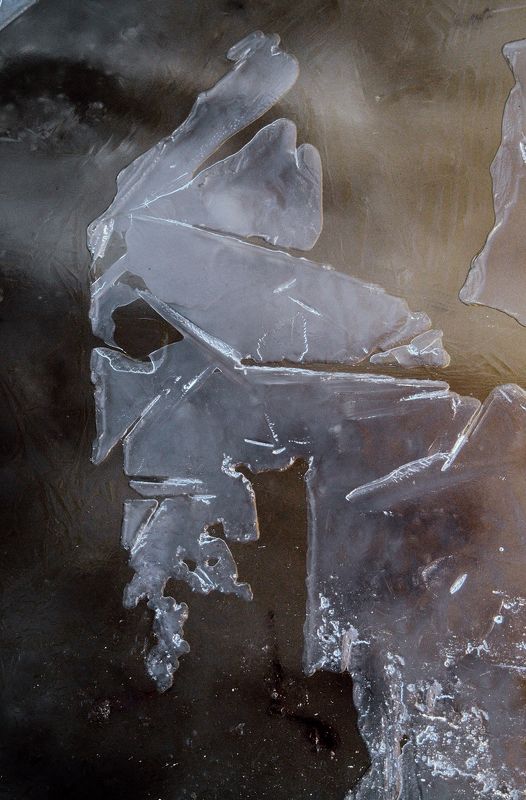 pareidolia ***photo preview