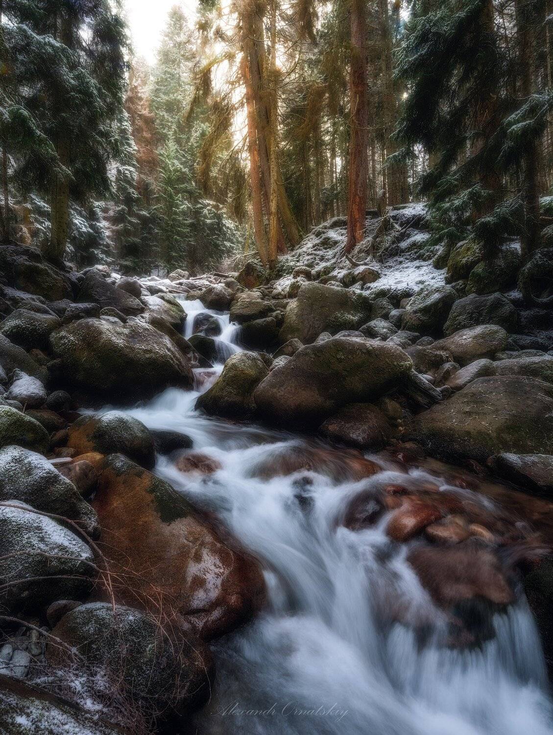 Автор: Александр Орнатский , Александр Орнатский