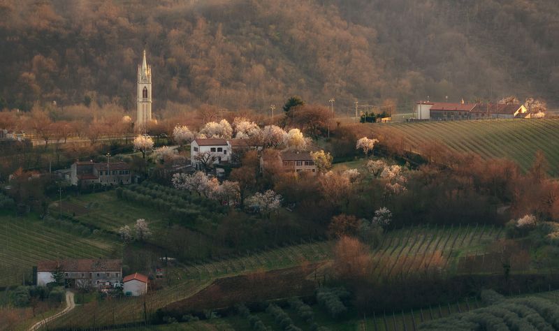 italy,цветение,italia,вечер,италия,valle san giorgio,veneto,весна,венето,belvedere,деревня, В деревне весна...photo preview