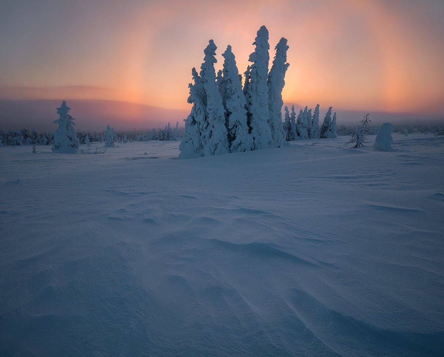Гало. Автор: Валерий Щербина (sv-phototravel.com) гух, Валерий Щербина (sv-phototravel.com)