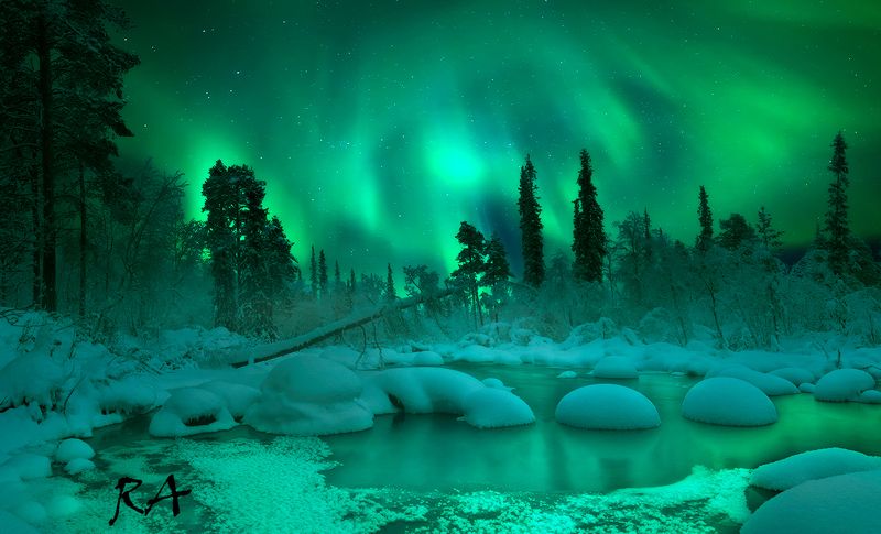 кольский полуостров, кольский, зима, winter, snow, kola peninsula, forest Welcome to fairytalephoto preview