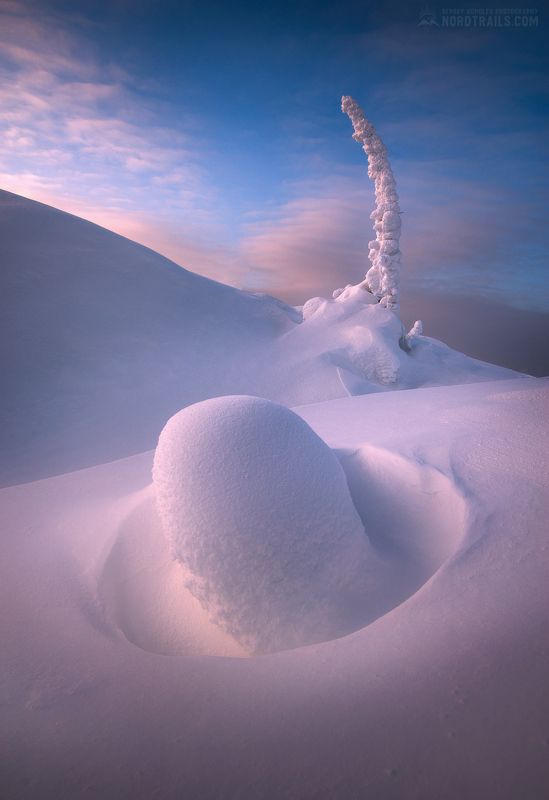 Кандалакшские обитателиphoto preview