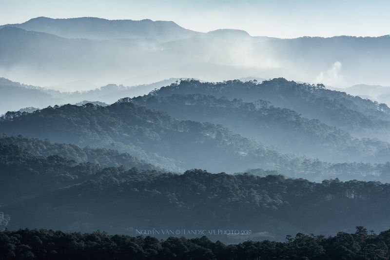 Fog Da Lat 2019photo preview