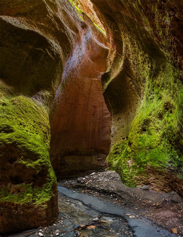 природа, пейзаж, горы, кавказ, природа россии, дикая природа, ущелье, теснина теснинаphoto preview